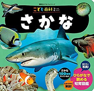 こども百科ミニ さかな (知育アルバム)(中古品)