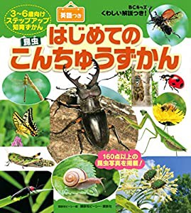 BCキッズ くわしい解説つき! はじめての こんちゅうずかん 英語つき(中古品)