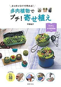 多肉植物でプチ! 寄せ植え(中古品)