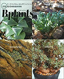 ビザールプランツ 冬型 珍奇植物最新情報 - ケープバルブからハオルチア、コノフィツムまで(中古品)
