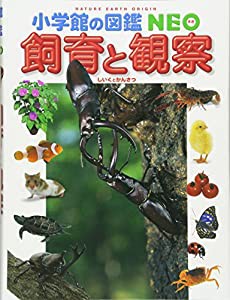 小学館の図鑑NEO 飼育と観察(中古品)