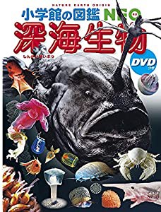 小学館の図鑑NEO 深海生物 DVDつき (小学館の図鑑・NEO 26)(中古品)