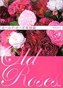 オールドローズ 花図譜(中古品)