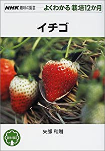 イチゴ (NHK趣味の園芸 よくわかる栽培12か月)(中古品)