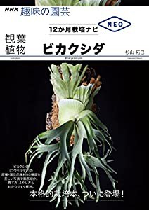 ビカクシダ (NHK趣味の園芸 12か月栽培ナビNEO 観葉植物)(中古品)