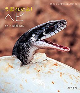 よみきかせ いきものしゃしんえほん (37) うまれたよ! ヘビ (よみきかせいきものしゃしんえほん 37)(中古品)