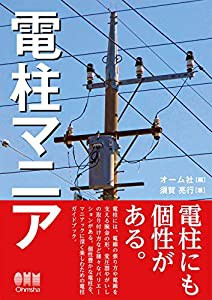 電柱マニア(中古品)