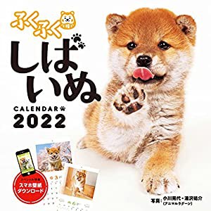 ふくふくしばいぬ (インプレスカレンダー2022)(中古品)