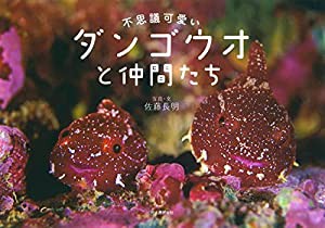 不思議可愛いダンゴウオと仲間たち(中古品)