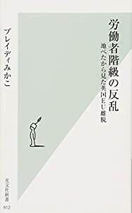 労働者階級の反乱 地べたから見た英国EU離脱 (光文社新書)(中古品)