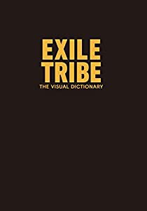 THE VISUAL DICTIONARY 初回限定版 オリジナルしおり付(中古品)