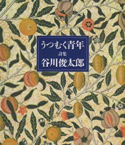 詩集 うつむく青年(中古品)