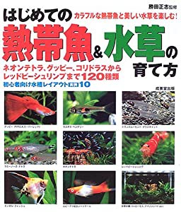 はじめての熱帯魚&水草の育て方(中古品)