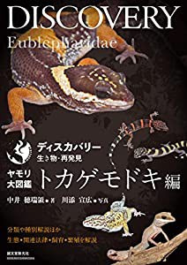 ヤモリ大図鑑 トカゲモドキ編: 分類や種別解説ほか生態・関連法律・飼育・繁殖を解説 (ディスカバリー生き物・再発見)(中古品)