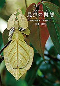 自然のだまし絵 昆虫の擬態: 進化が生んだ驚異の姿(中古品)