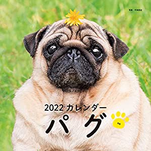 2022年 カレンダー パグ (誠文堂新光社カレンダー)(中古品)