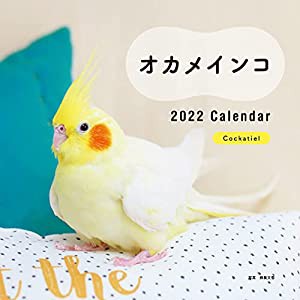 2022年 カレンダー オカメインコ (誠文堂新光社カレンダー)(中古品)