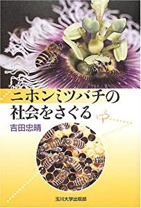 ニホンミツバチの社会をさぐる(中古品)