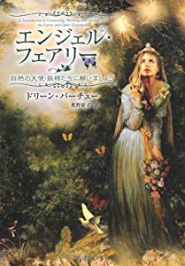 エンジェル・フェアリー—自然の天使・妖精たちに願いましょう(中古品)