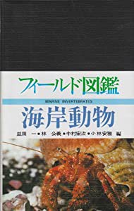 海岸動物 (フィールド図鑑)(中古品)