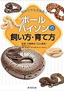 初めてでも大丈夫! ボールパイソンの飼い方・育て方(中古品)