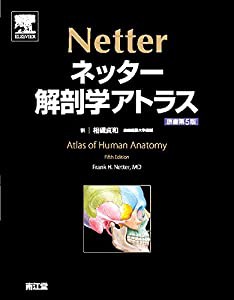 ネッター解剖学アトラス 原書第5版(中古品)