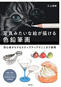 写真みたいな絵が描ける色鉛筆画: 初心者からでもステップアップでここまで表現(中古品)