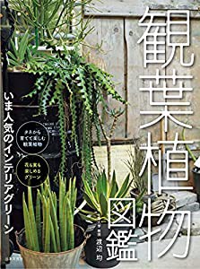 観葉植物図鑑: いま人気のインテリアグリーン(中古品)