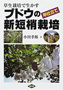 草生栽培で生かすブドウの早仕立て新短梢栽培(中古品)