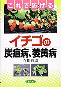 これで防げるイチゴの炭疽病、萎黄病(中古品)