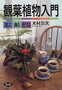 観葉植物入門―選ぶ・飾る・育てる(中古品)