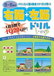 5~6歳の右脳+左脳ドリル(中古品)