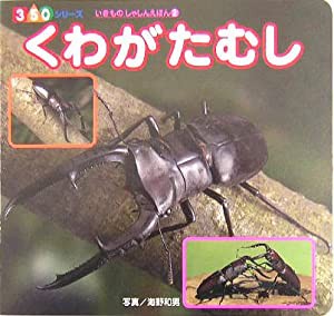 くわがたむし (350シリーズ―いきものしゃしんえほん)(中古品)