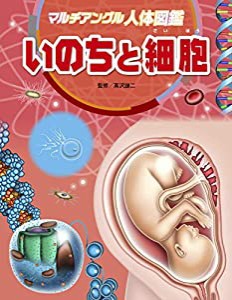 いのちと細胞 (マルチアングル人体図鑑)(中古品)