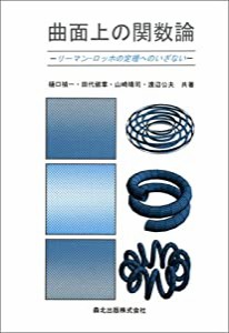 曲面上の関数論―リーマン‐ロッホの定理へのいざない(中古品)