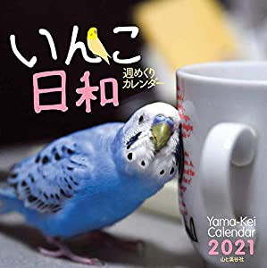 カレンダー2021　週めくりカレンダー　いんこ日和 (卓上/壁掛け・リング) (ヤマケイカレンダー2021)(中古品)