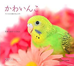 カレンダー2022 かわいんこ インコと小鳥のカレンダー (月めくり・壁掛け) (ヤマケイカレンダー2022)(中古品)