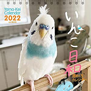 カレンダー2022 週めくりカレンダー いんこ日和 (卓上/壁掛け・リング) (ヤマケイカレンダー2022)(中古品)