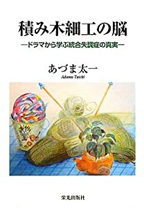 積み木細工の脳—ドラマから学ぶ統合失調症の真実(中古品)