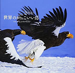 世界のかっこいい鳥(中古品)