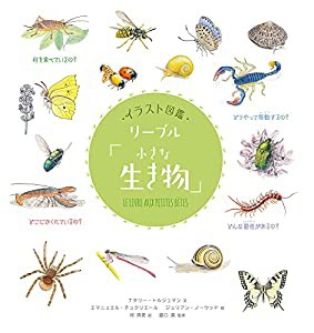 イラスト図鑑 リーブル「小さな生き物」(中古品)