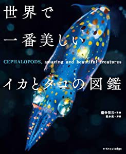 世界で一番美しいイカとタコの図鑑(中古品)