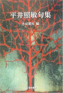 平井照敏句集 (芸林21世紀文庫)(中古品)