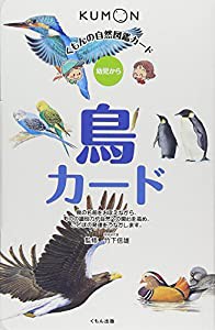 鳥カード (くもんの自然図鑑カード)(中古品)