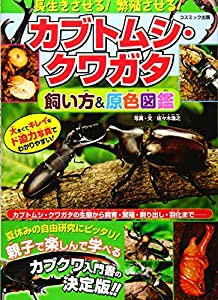 長生きさせる! 繁殖させる! カブトムシ・クワガタ飼い方&原色図鑑(中古品)