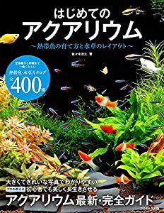 はじめてのアクアリウム~熱帯魚の育て方と水草のレイアウト(中古品)