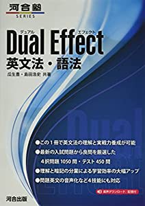 Dual Effect 英文法・語法(中古品)