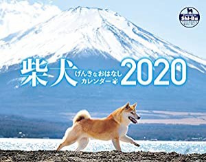 2020カレンダー 柴犬げんきな おはなしカレンダー ([カレンダー])(中古品)