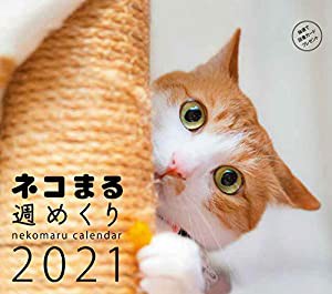 2021カレンダー ネコまる 週めくり ([カレンダー])(中古品)