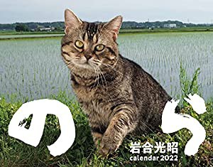 2022猫カレンダー のら ([カレンダー])(中古品)